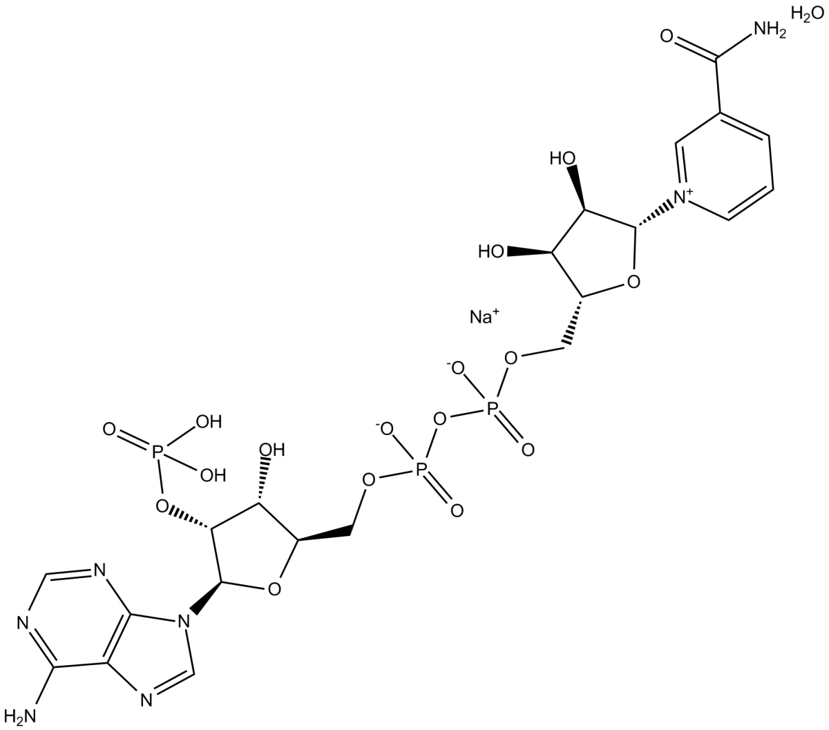 NADP+(sodium salt hydrate)图片