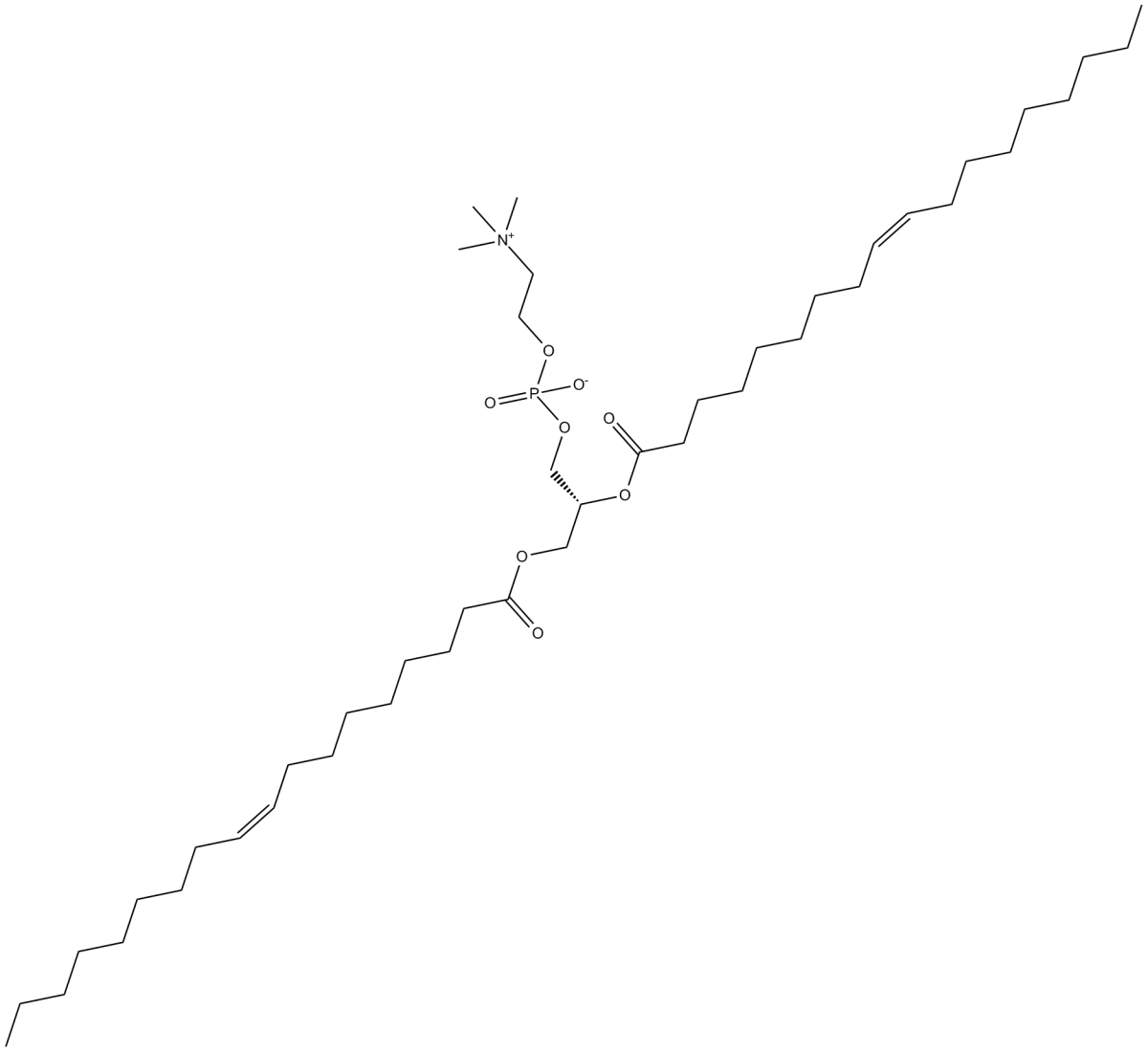 1,2-Dioleoyl-sn-glycero-3-PC图片