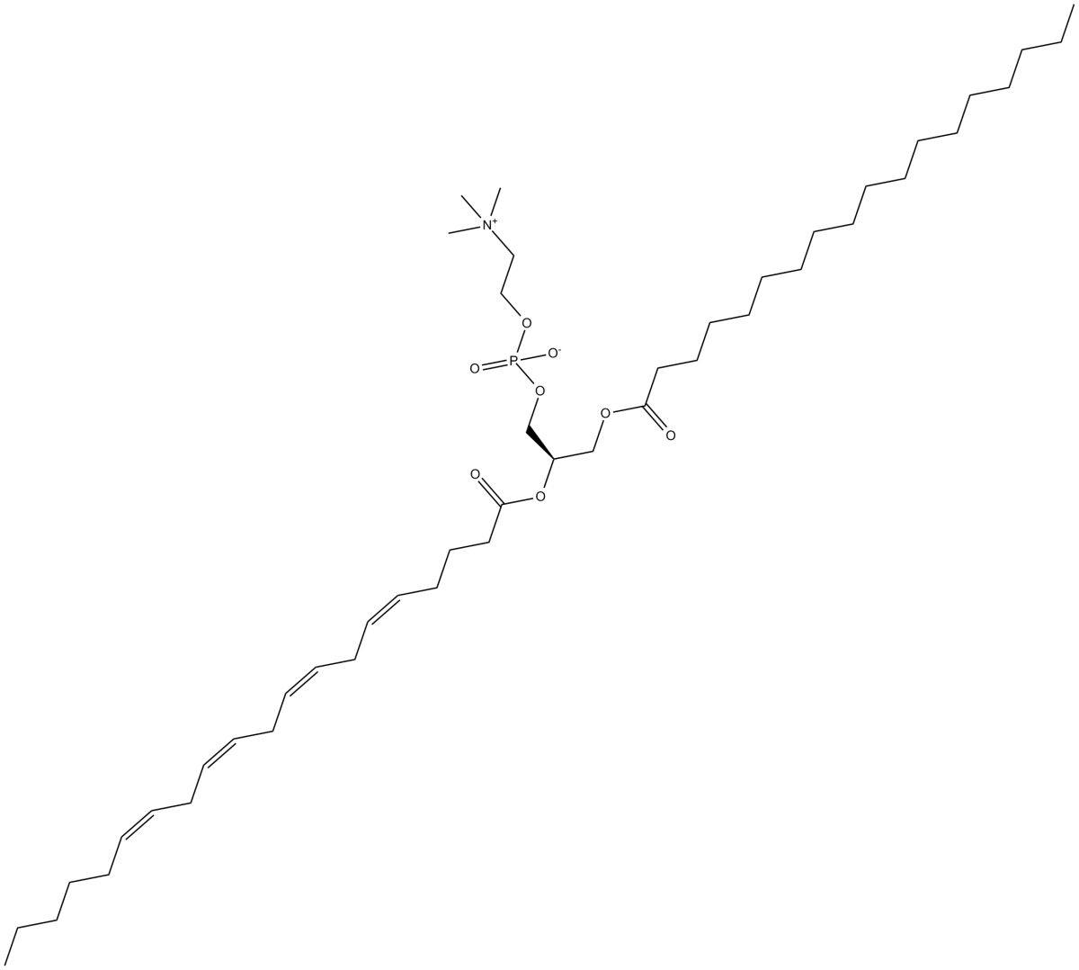 1-Stearoyl-2-Arachidonoyl PC图片