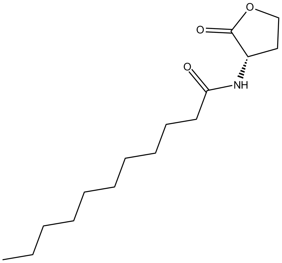 N-undecanoyl-L-Homoserine lactone图片