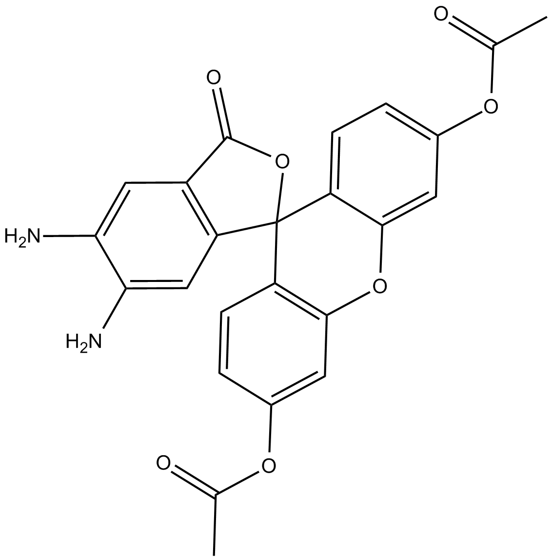 DAF-2 diacetate图片