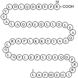 Agouti-related Protein(AGRP)(25-82),human图片