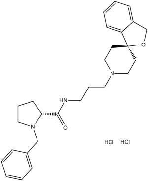 BAN ORL 24图片