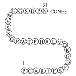 Endostatin(84-114)-NH2(JKC367)图片