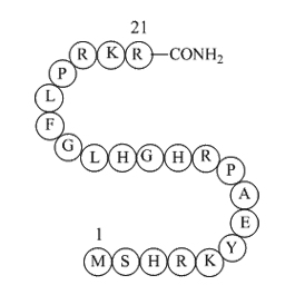 Ribosomal protein L3 peptide(202-222)amide图片