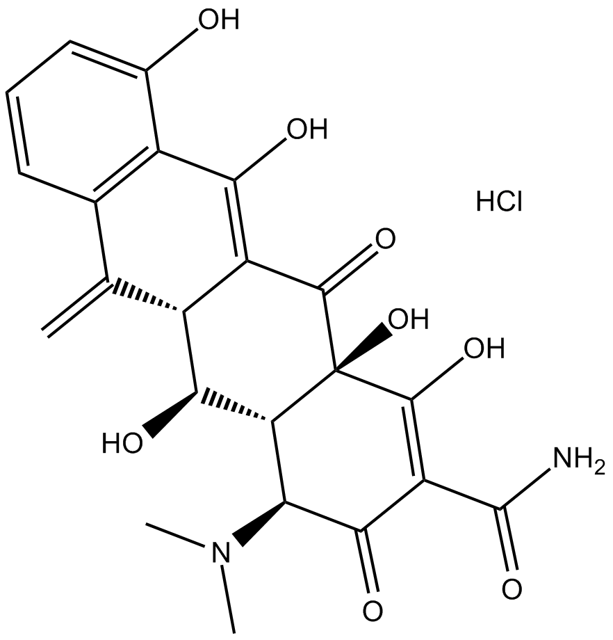 Methacycline HCl图片