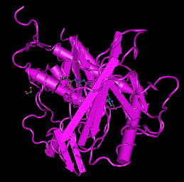 VEGFR-2,human recombinant protein图片