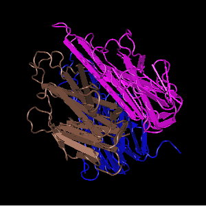 TNF-alpha,recombinant rat protein图片