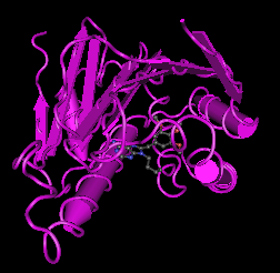 Heat Shock Protein 90(Hsp90),human recombinant protein图片