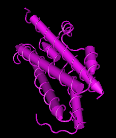 Oncostatin M,human recombinant protein图片