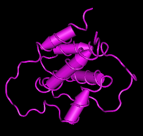 IL-3,human recombinant图片