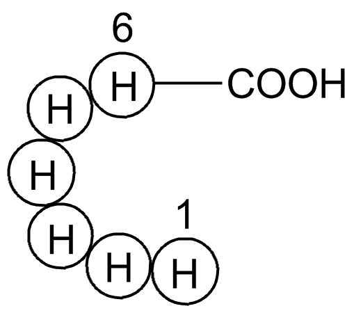 Hexa His tag peptide图片