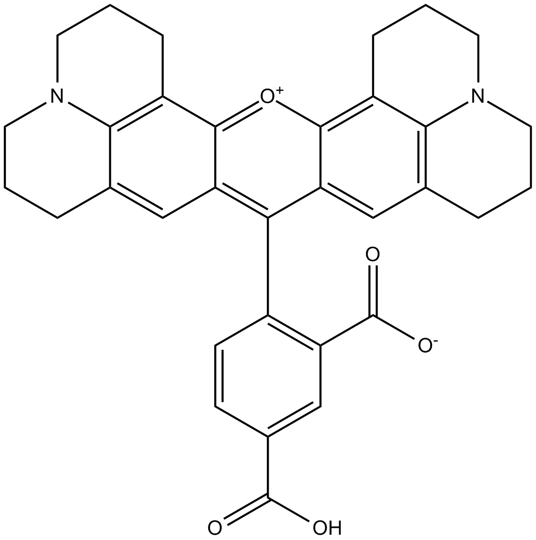 5-ROX图片