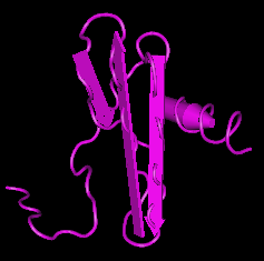 SDF-1beta(CXCL12),human recombinant图片