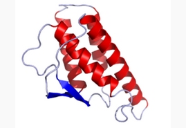 IL-4,murine recombinant图片