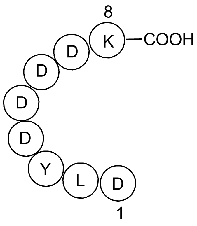 X-press Tag Peptide图片
