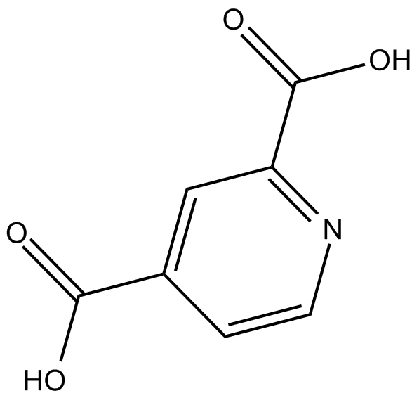 2,4-Pyridinedicarboxylic Acid图片
