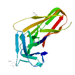 VEGF-C,human recombinant protein图片