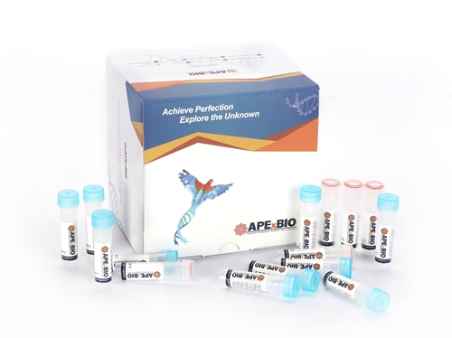 HyperScribe(TM)All in One mRNA Synthesis Kit II(EZ Cap Reagent AG(3' OMe),T7,poly(A))图片