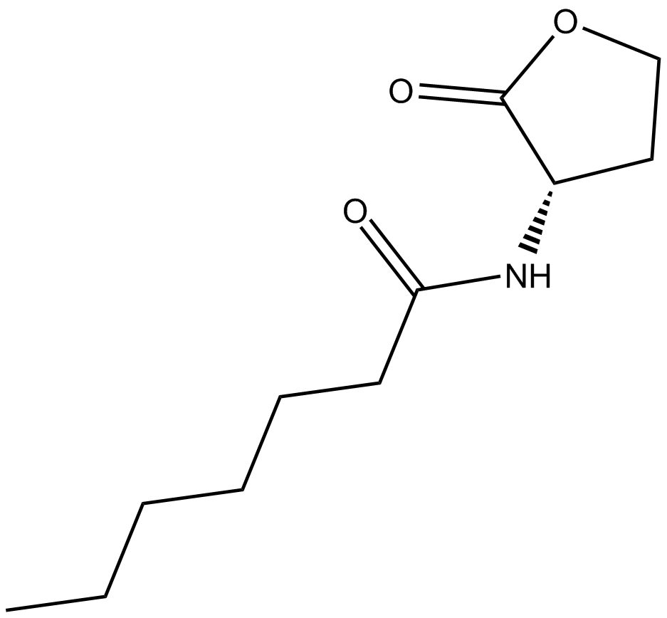 N-heptanoyl-L-Homoserine lactone图片