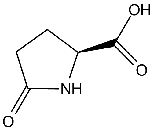 L-Pyroglutamic acid图片