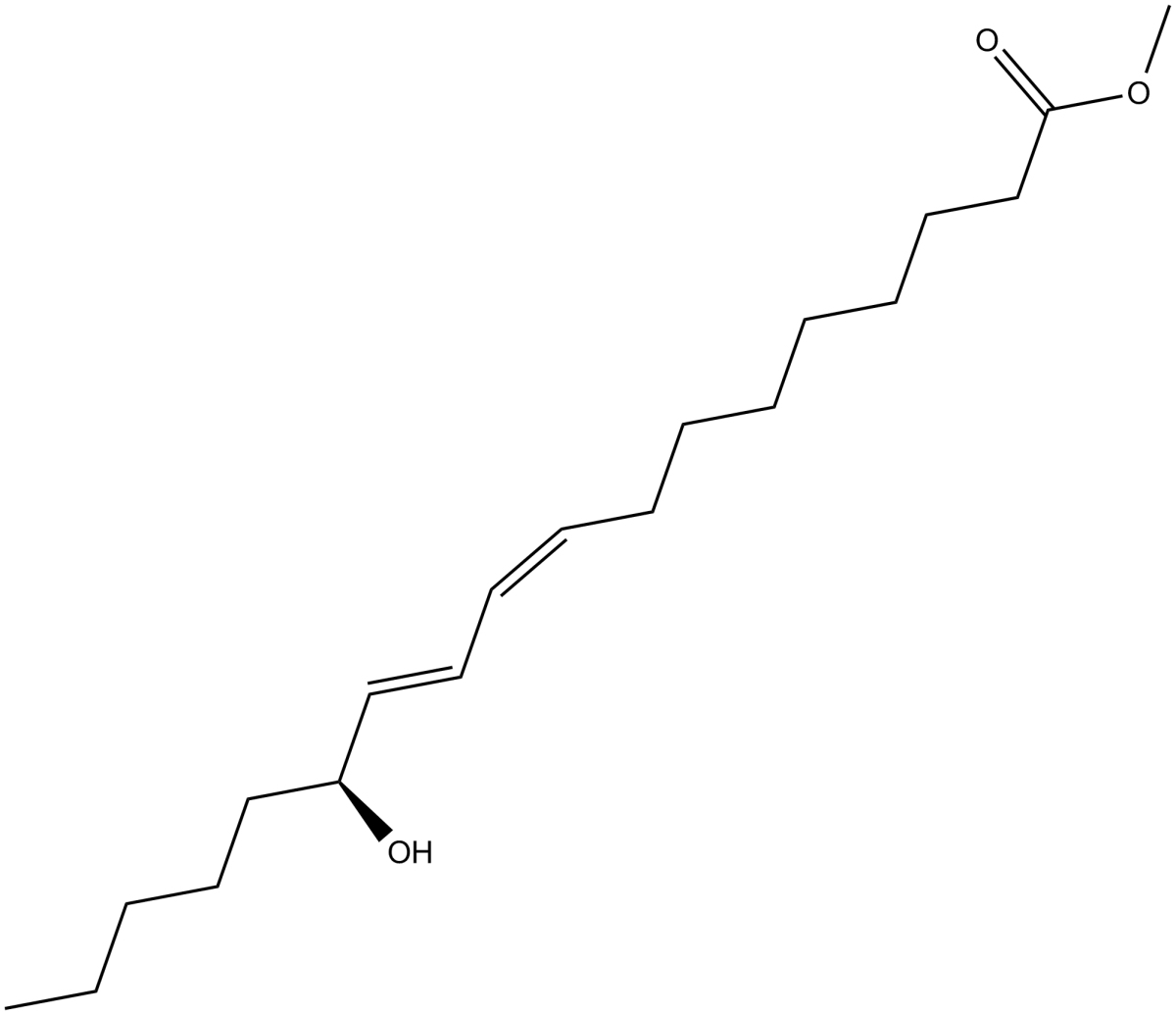 13(S)-HODE methyl ester图片