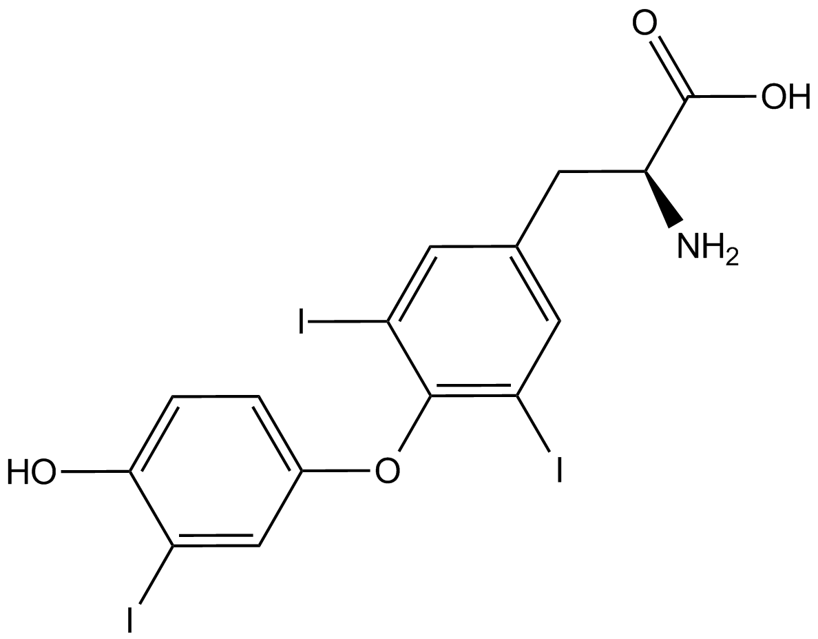 Triiodothyronine图片