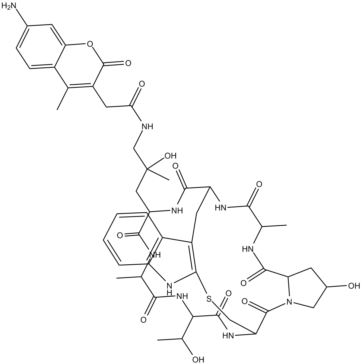 Phalloidin-AMCA Conjugate图片