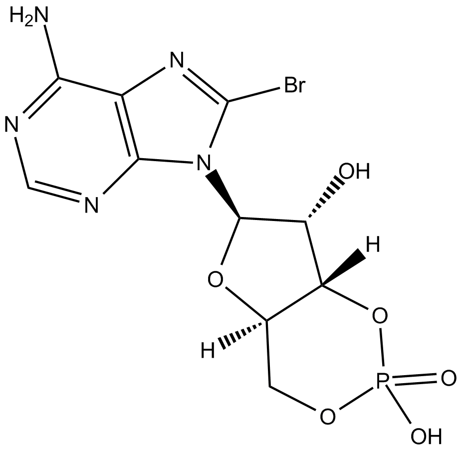 8-bromo-Cyclic AMP图片