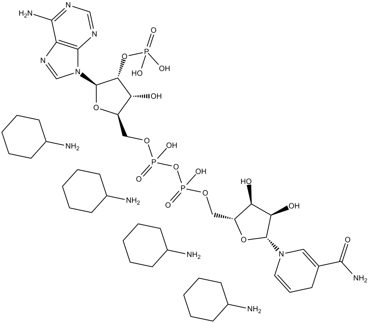 NADPH(cyclohexyl ammonium salt)图片