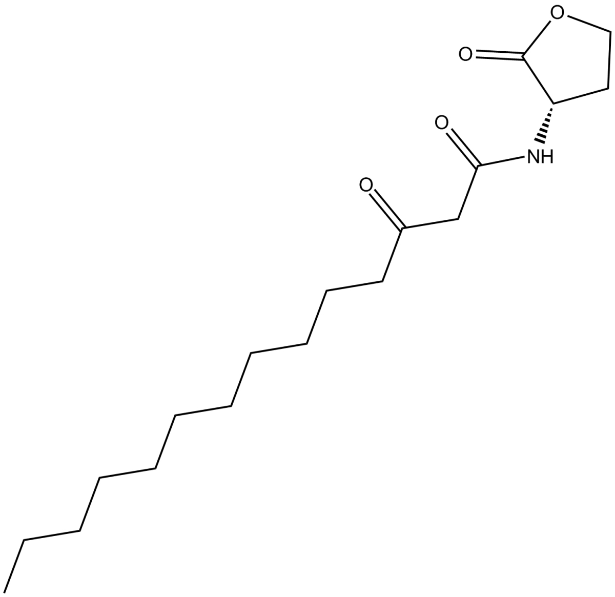 N-3-oxo-tetradecanoyl-L-Homoserine lactone图片