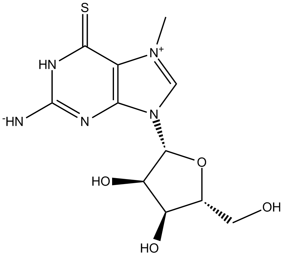 7-methyl-6-Thioguanosine(technical grade)图片