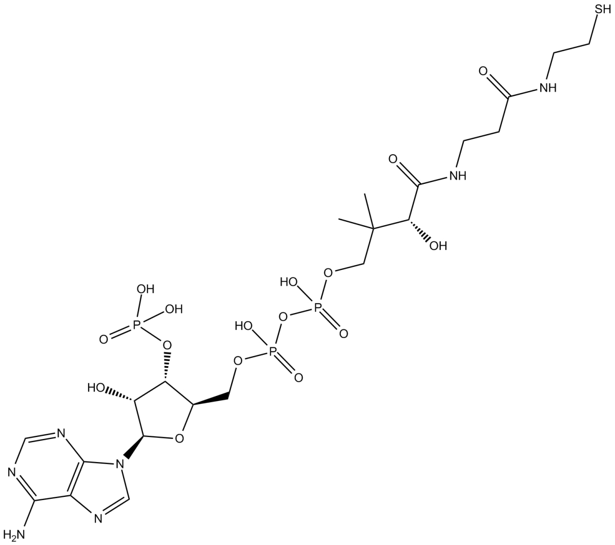 Coenzyme A图片