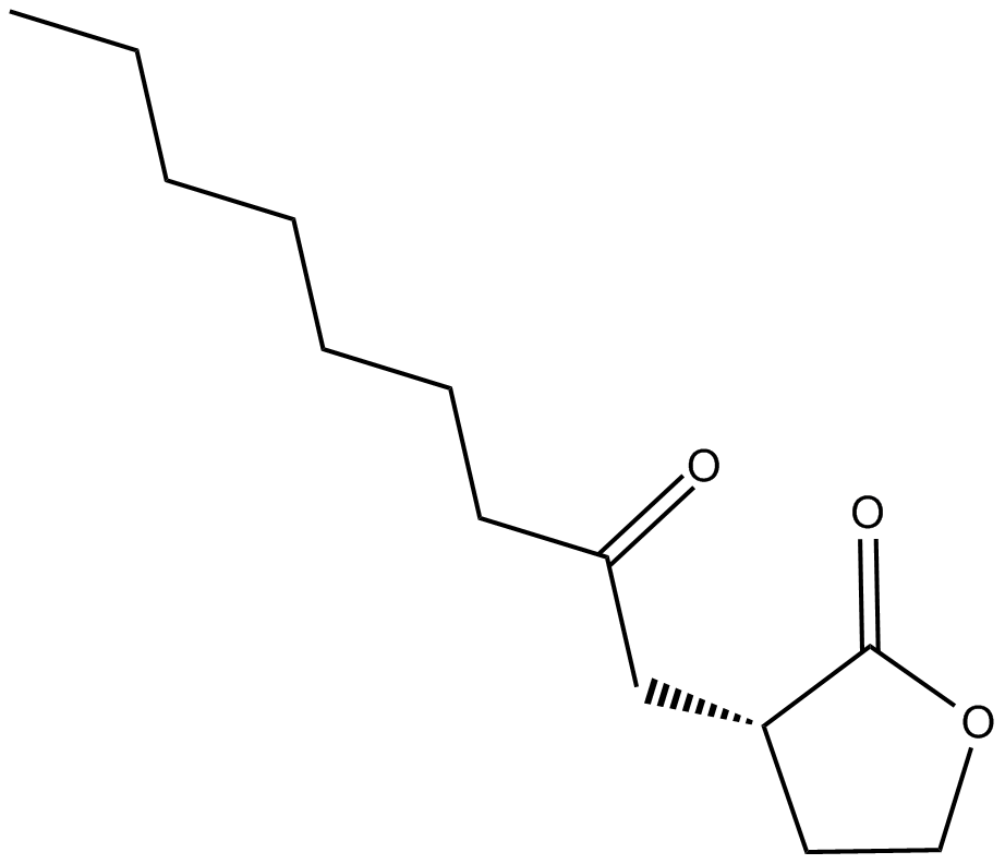 N-octanoyl-L-Homoserine lactone图片