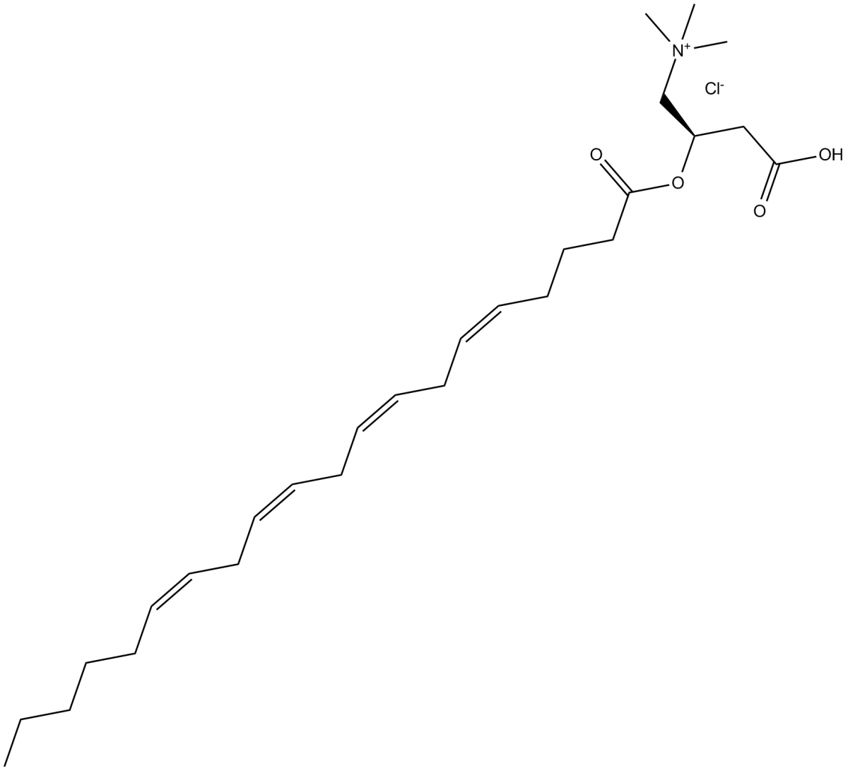 L-Arachidonoylcarnitine(chloride)图片