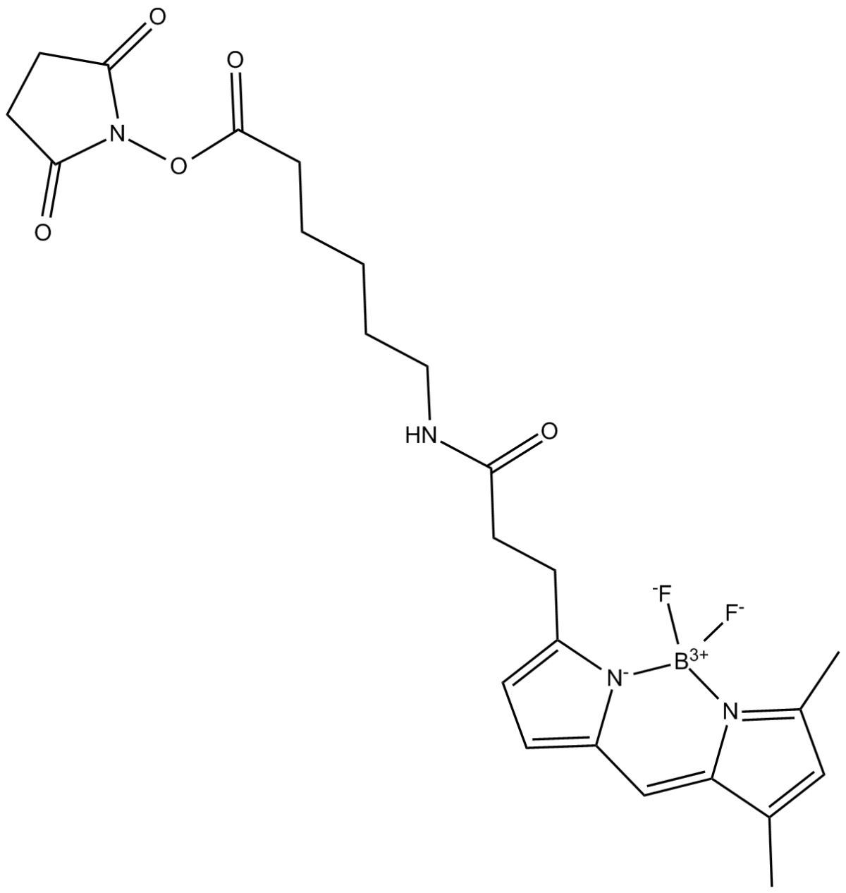 3-BODIPY-propanoylaminocaproic Acid N-hydroxysuccinimide ester图片