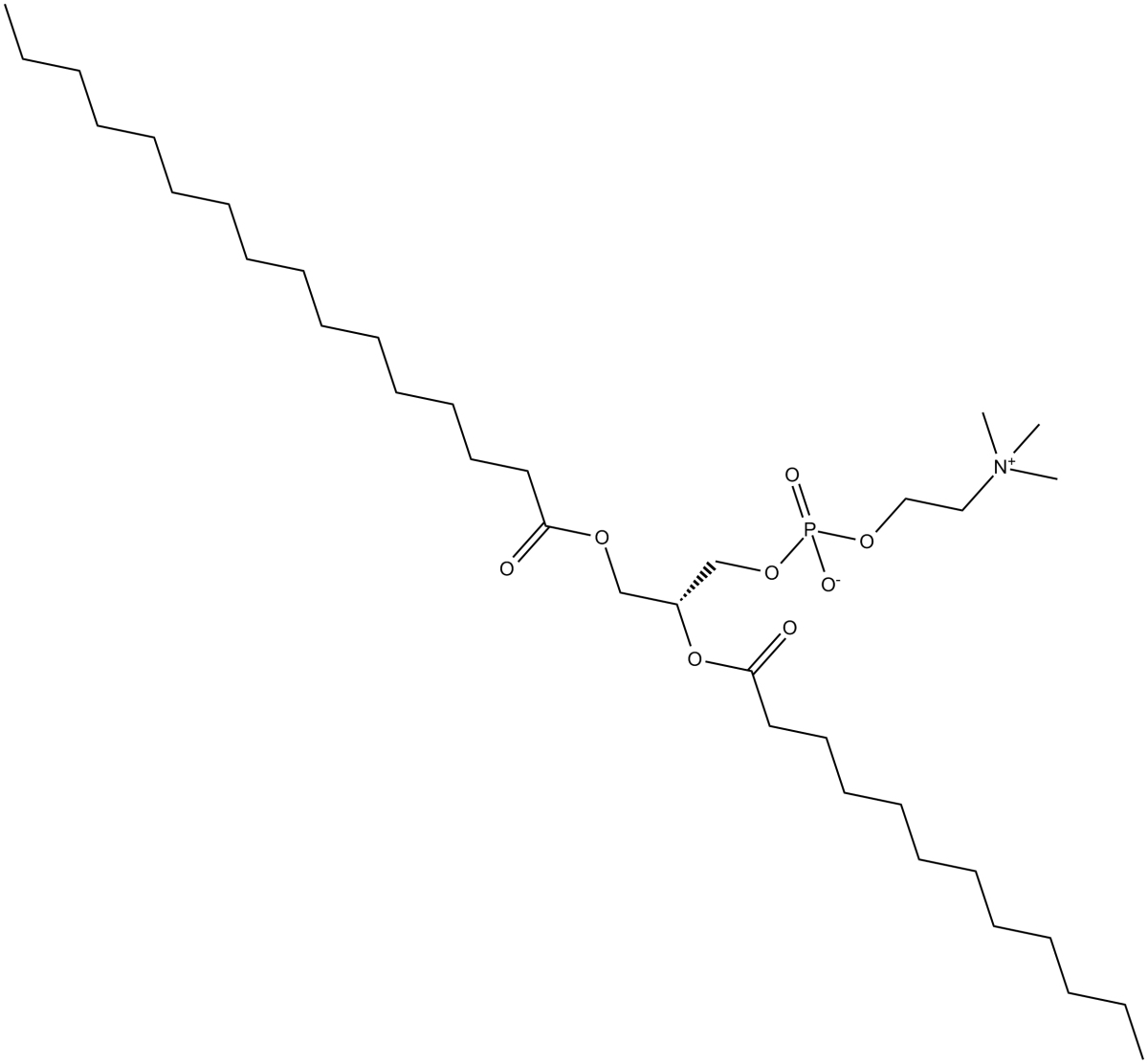 1-Palmitoyl-2-lauroyl-sn-glycero-3-PC图片