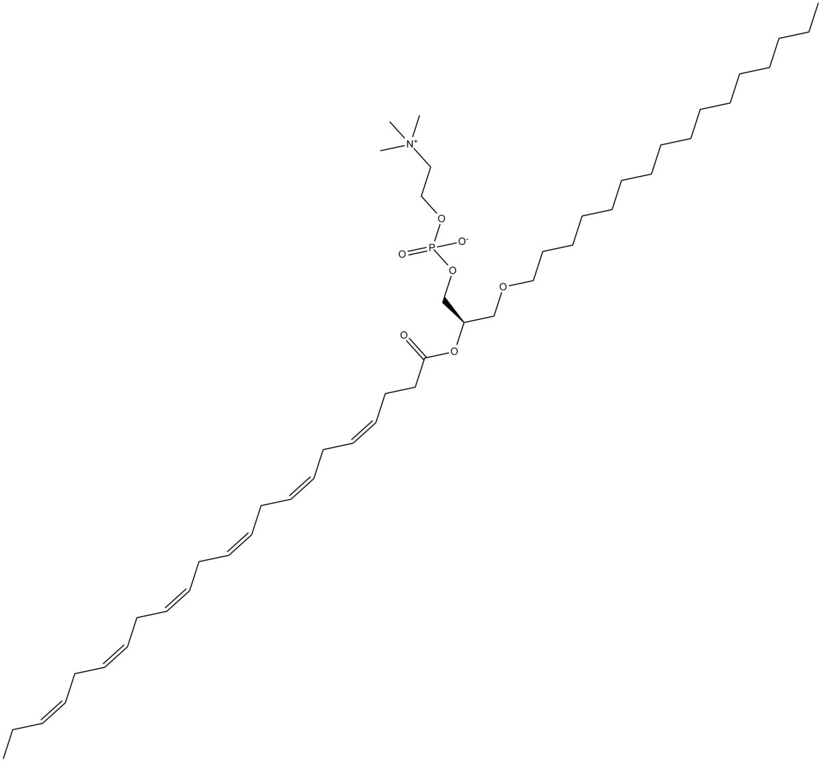 Docosahexaenoyl PAF C-16图片