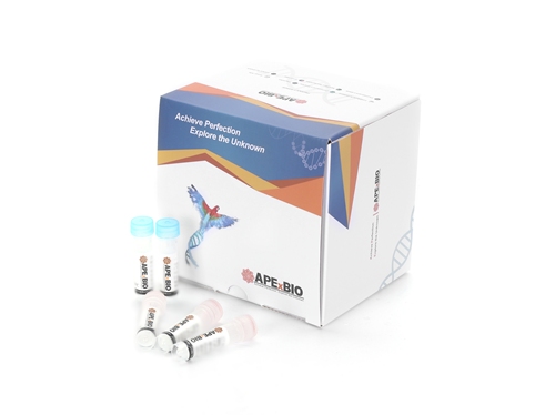 HyperScript(TM)First-Strand cDNA Synthesis SuperMix图片