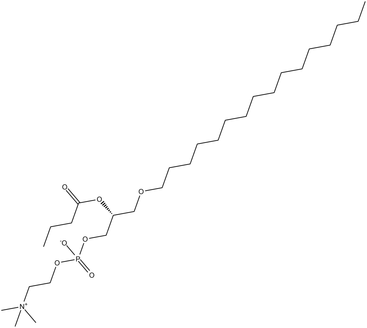 Butanoyl PAF图片