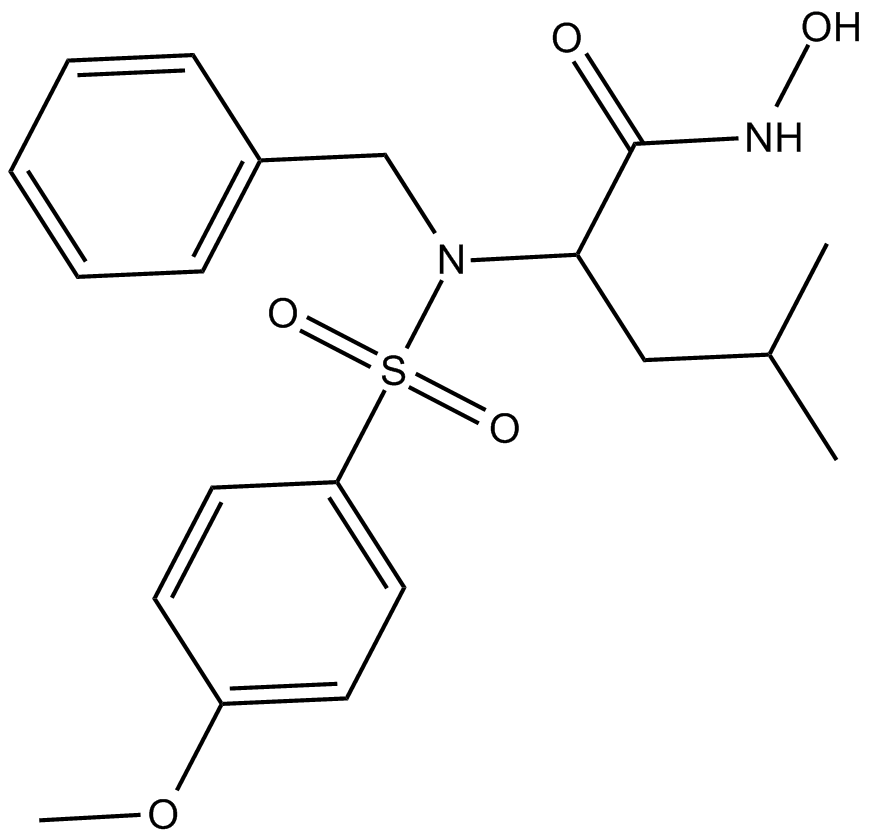 MMP-3 Inhibitor VIII图片