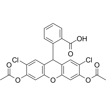 H2DCFDA(DCFH-DA2',7'-Dichlorodihydrofluorescein diacetate)图片