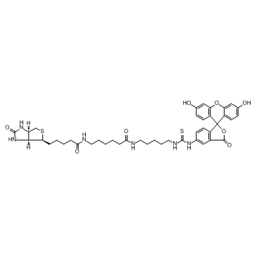 Fluorescein Biotin图片