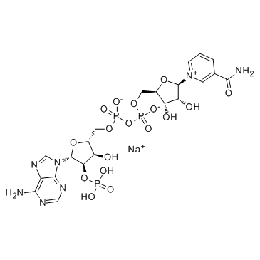 NADP sodium salt(Sodium NADP)图片