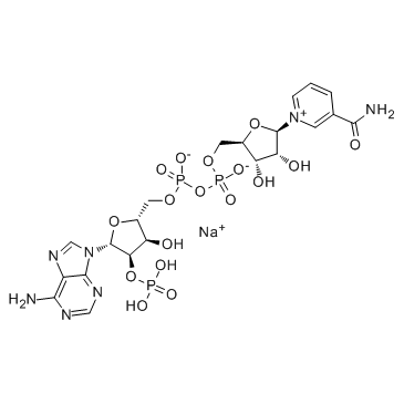 NADP sodium salt(Sodium NADP)ͼƬ