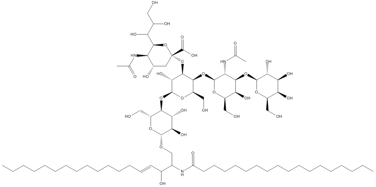 Ganglioside GM1ͼƬ