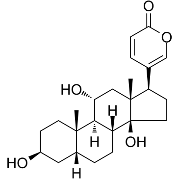 Gamabufotalin(Gamabufagin)图片