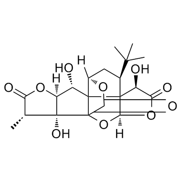 Ginkgolide B(BN-52021)图片
