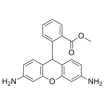 Dihydrorhodamine 123(DHR 123)图片