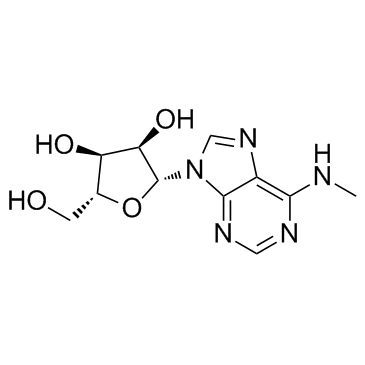 N6-Methyladenosine(6-Methyladenosine N-Methyladenosine)图片